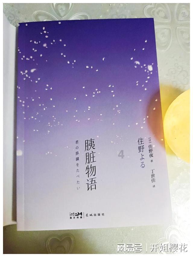 拯救受伤的猫