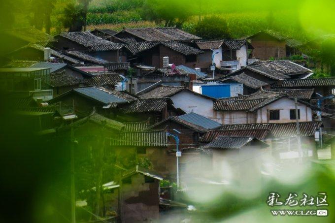 小乌龟逃亡记