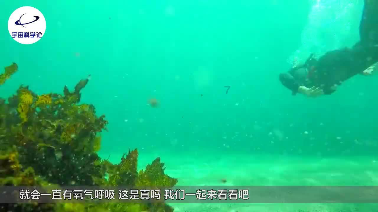 胜利发电厂争做降碳创效的“卖碳翁”