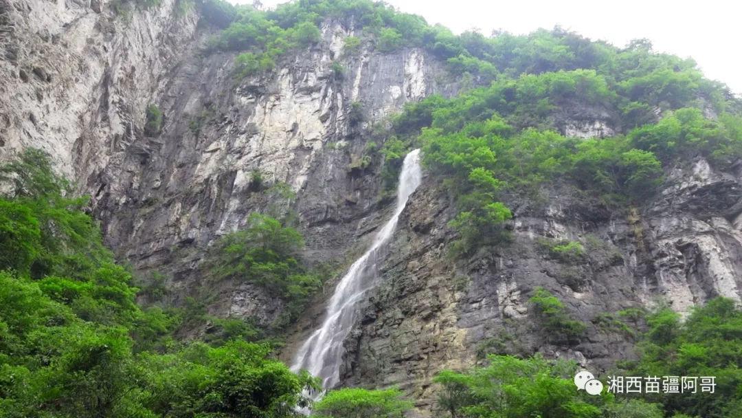 救援海盗章鱼