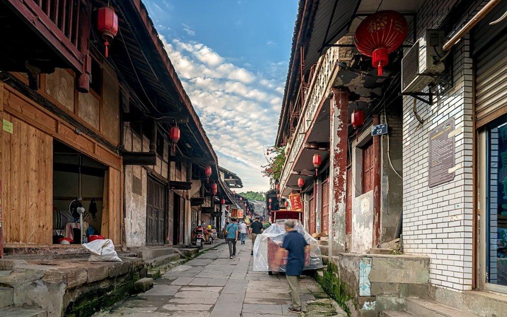 拯救落难小鸟